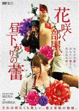 影片《雾港旧事》封面